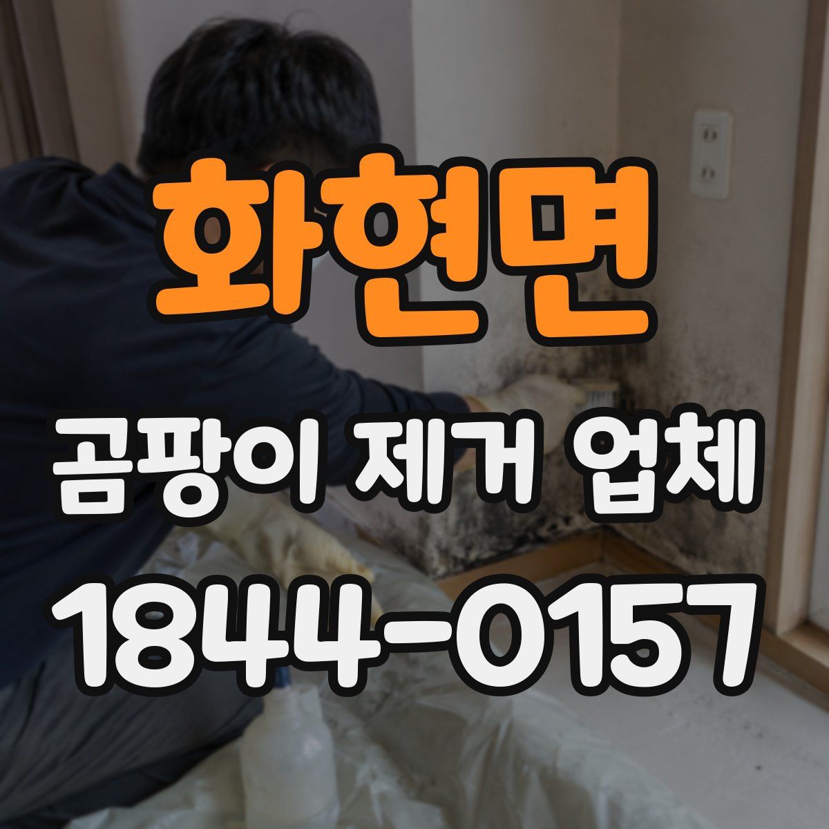 화현면 곰팡이 제거 업체