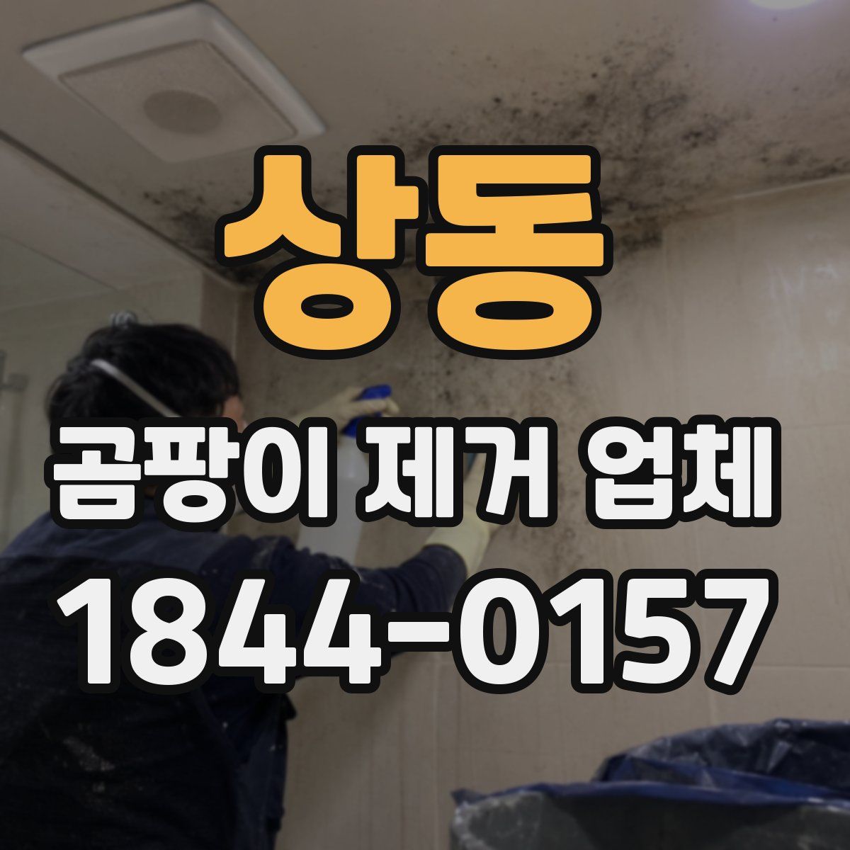 상동 곰팡이 제거 업체