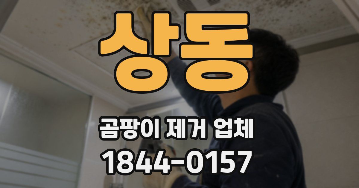 상동 곰팡이 제거 업체