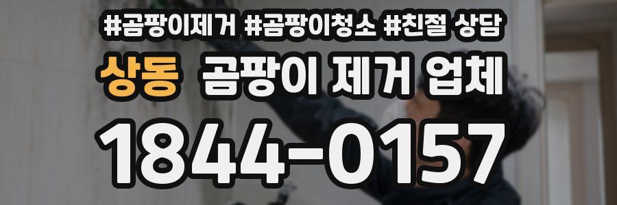 상동 곰팡이 제거 업체