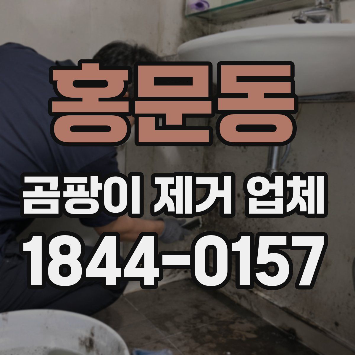 홍문동 곰팡이 제거 업체