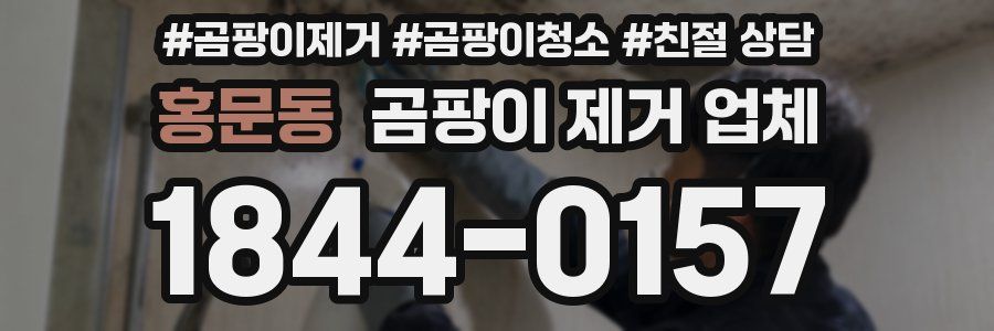 홍문동 곰팡이 제거 업체