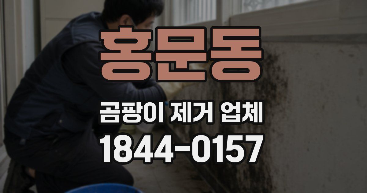 홍문동 곰팡이 제거 업체