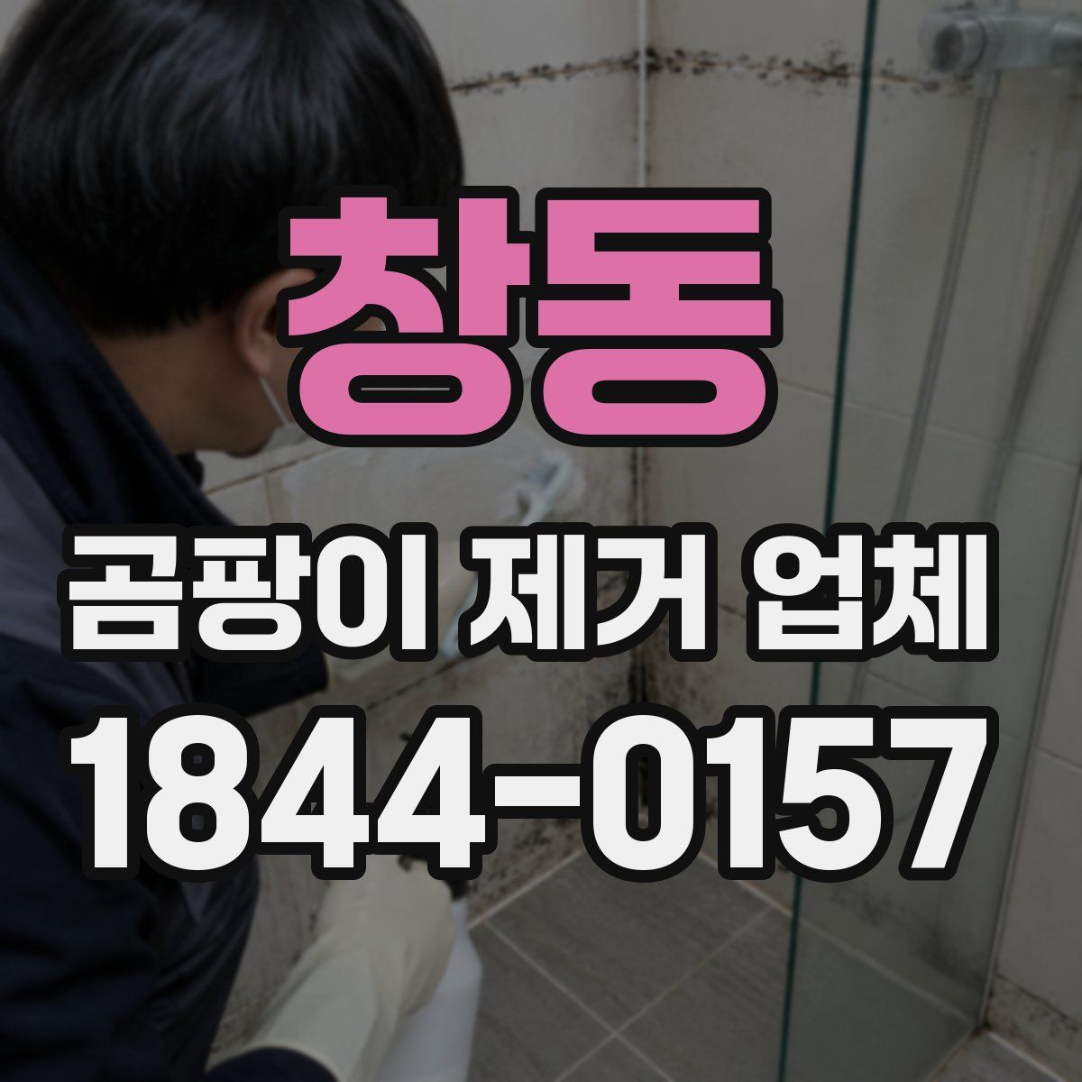 창동 곰팡이 제거 업체