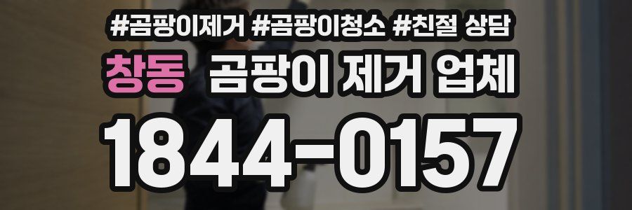 창동 곰팡이 제거 업체