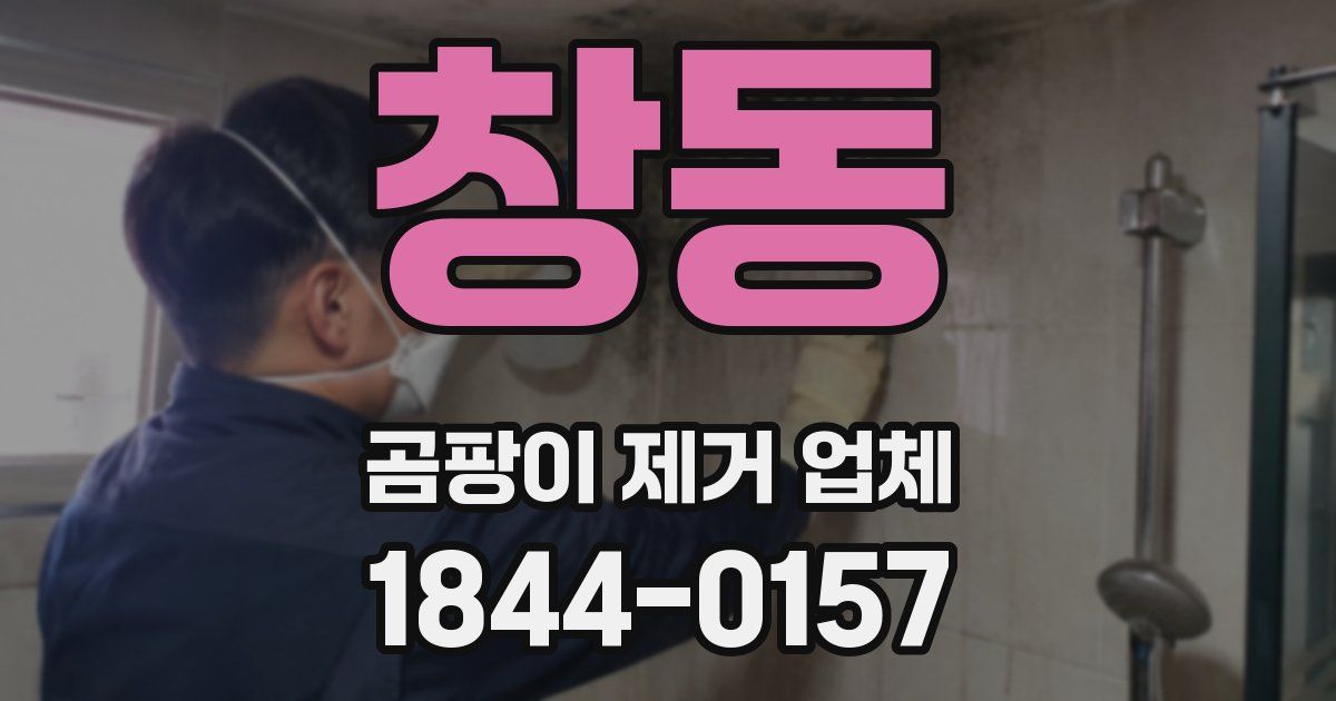 창동 곰팡이 제거 업체