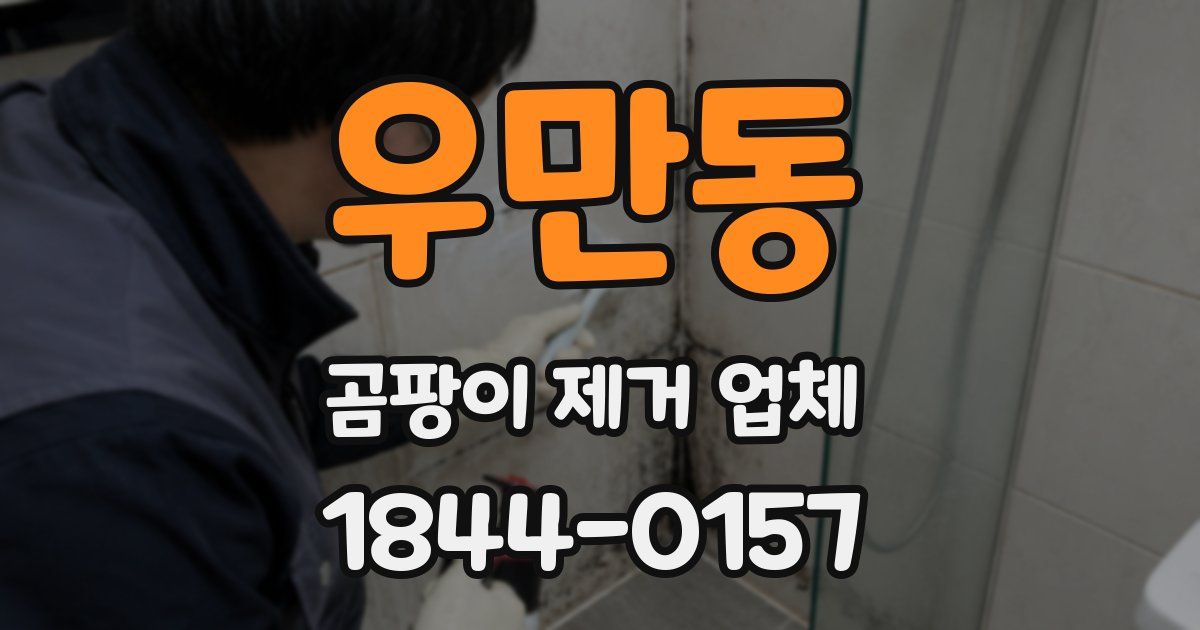 우만동 곰팡이 제거 업체