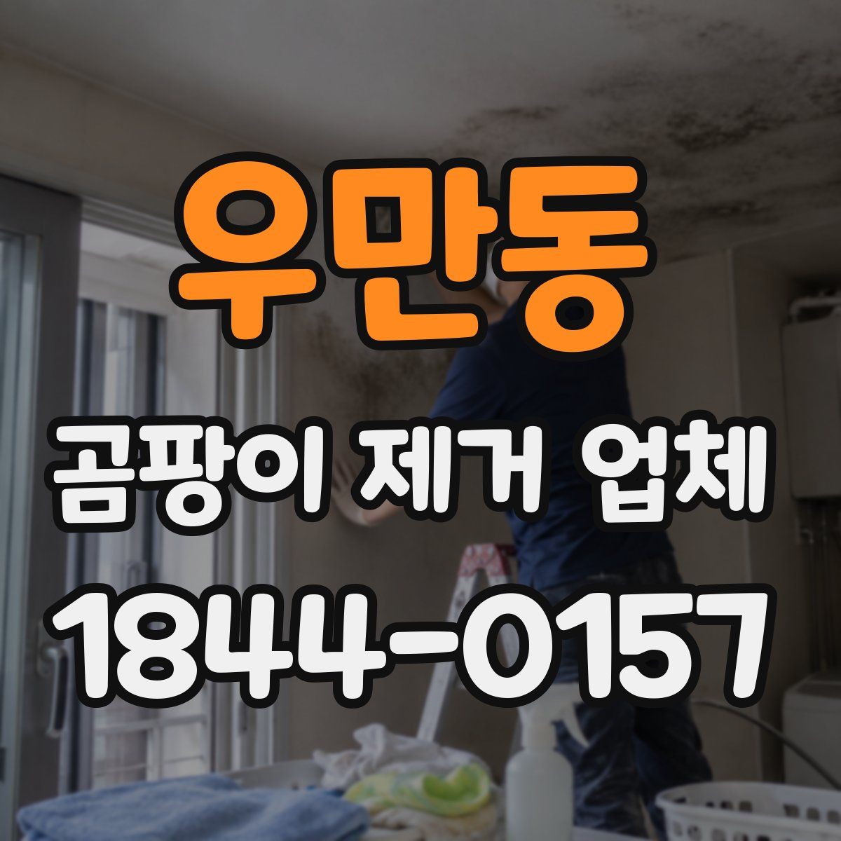 우만동 곰팡이 제거 업체