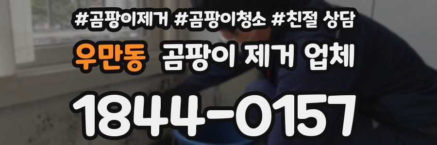 우만동 곰팡이 제거 업체
