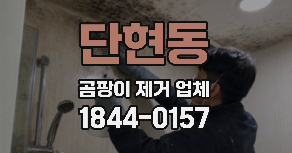 단현동 곰팡이 제거 업체