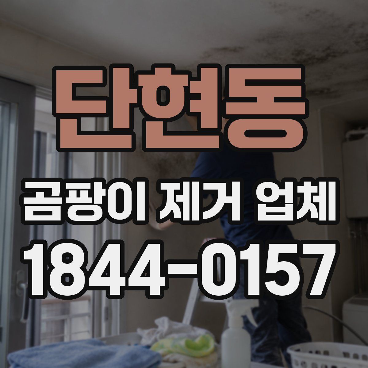 단현동 곰팡이 제거 업체