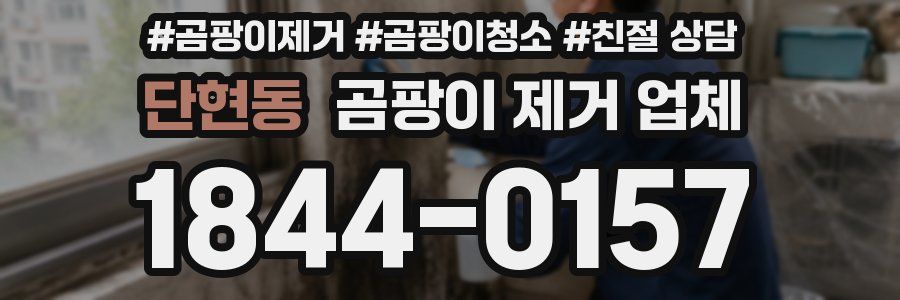 단현동 곰팡이 제거 업체