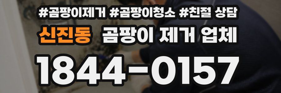 신진동 곰팡이 제거 업체