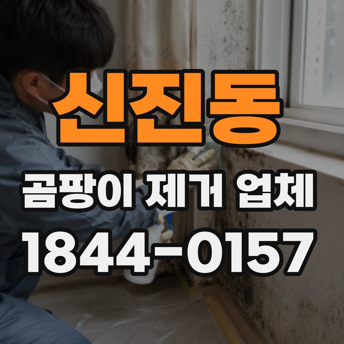 신진동 곰팡이 제거 업체