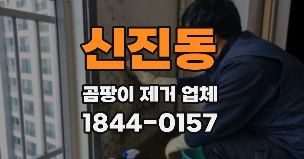 신진동 곰팡이 제거 업체