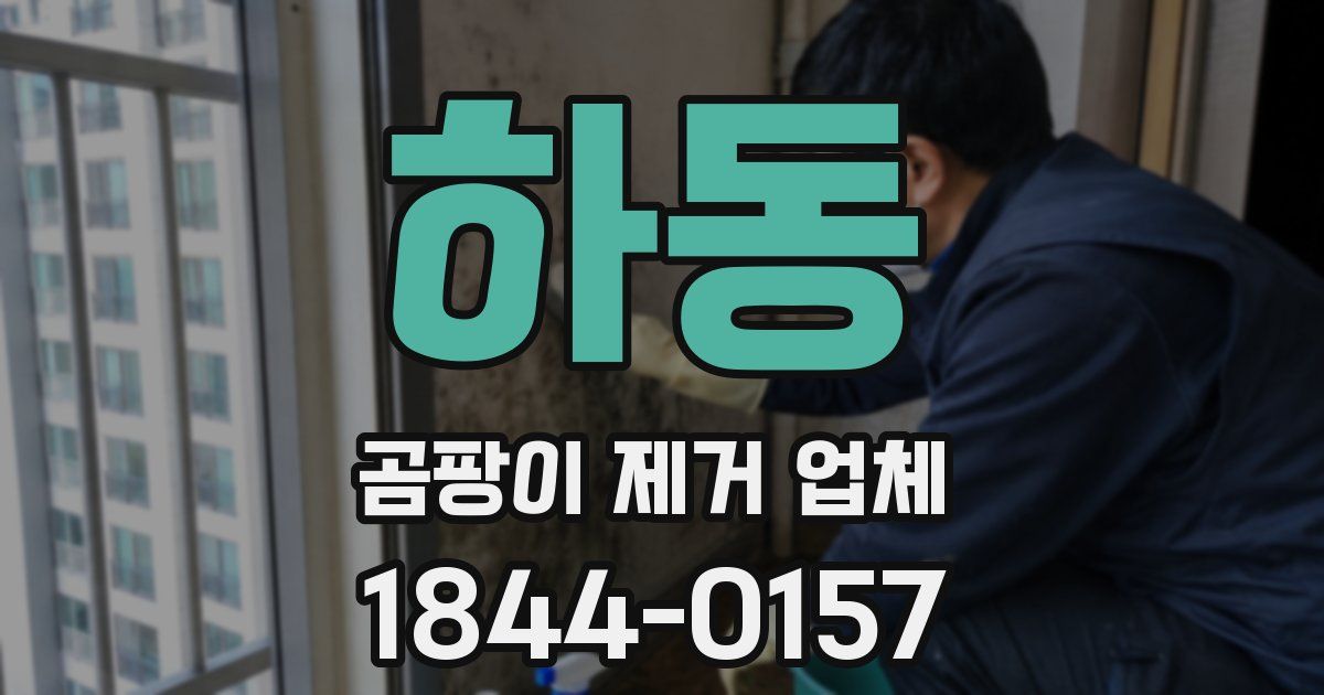 하동 곰팡이 제거 업체