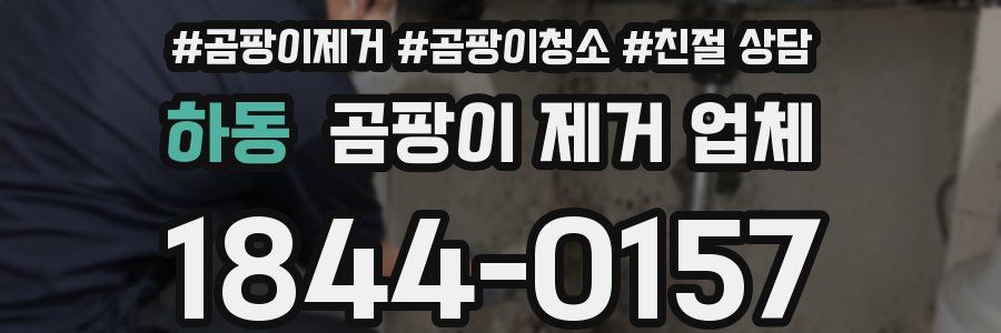 하동 곰팡이 제거 업체