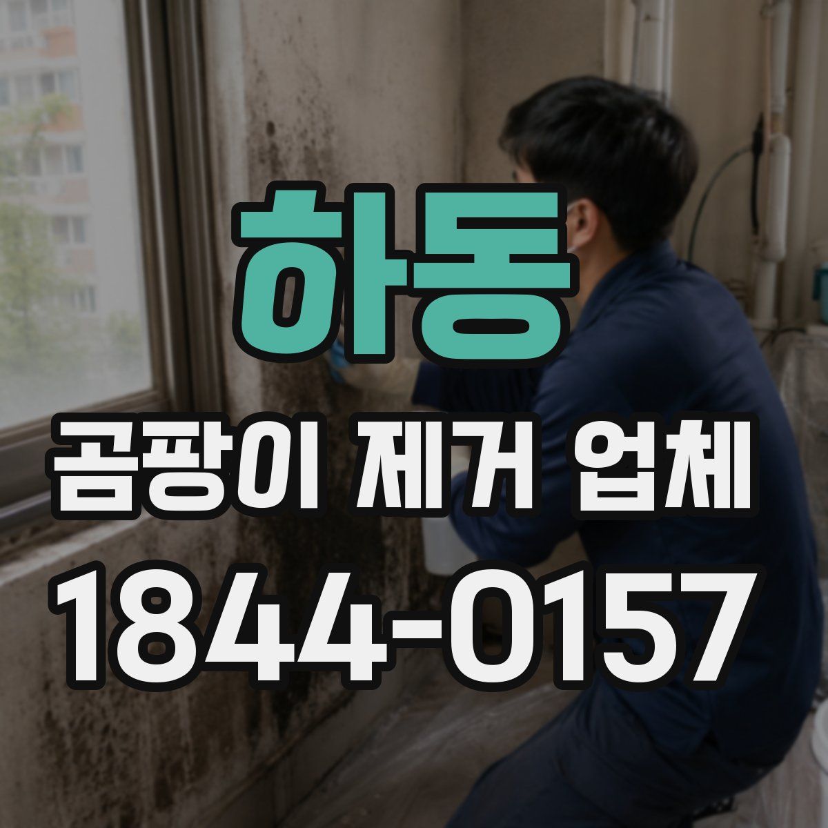 하동 곰팡이 제거 업체