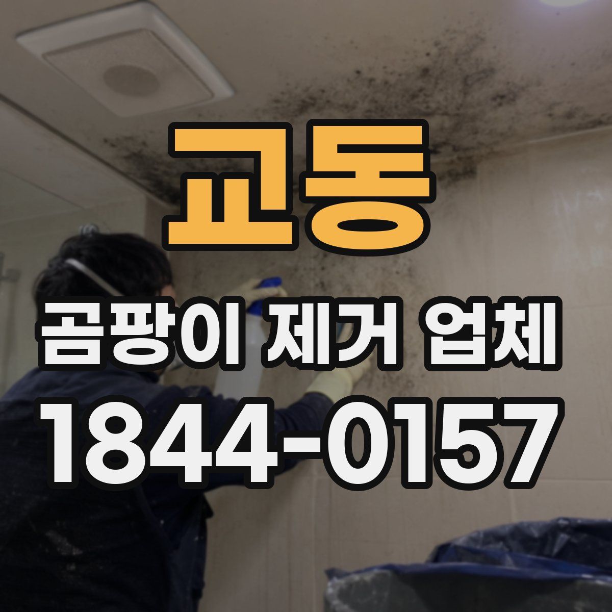 교동 곰팡이 제거 업체
