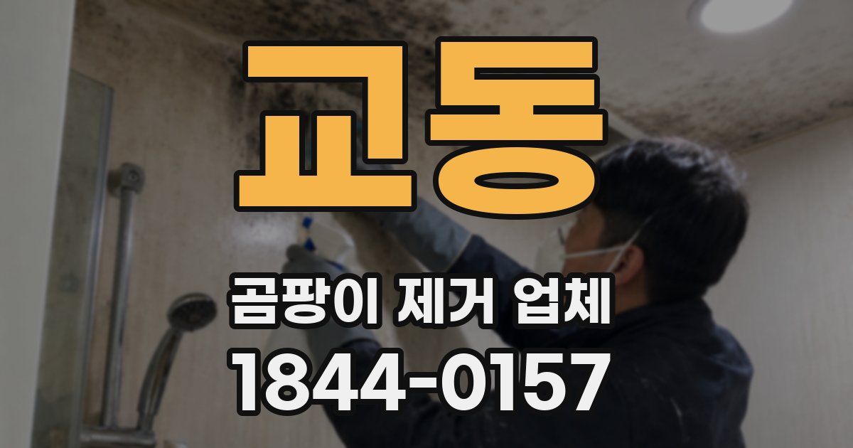 교동 곰팡이 제거 업체