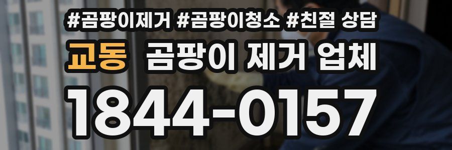 교동 곰팡이 제거 업체