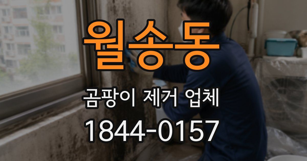 월송동 곰팡이 제거 업체