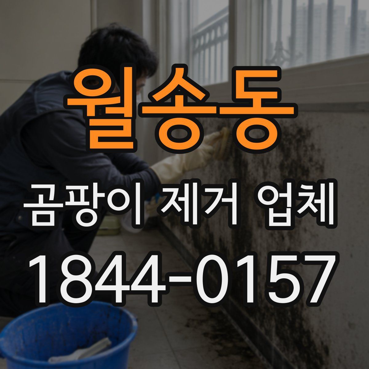 월송동 곰팡이 제거 업체