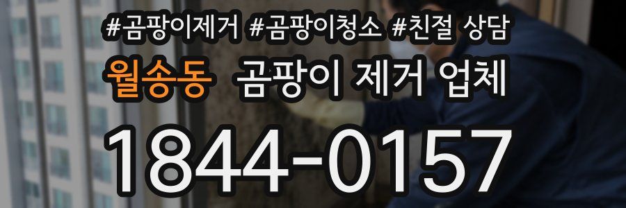 월송동 곰팡이 제거 업체