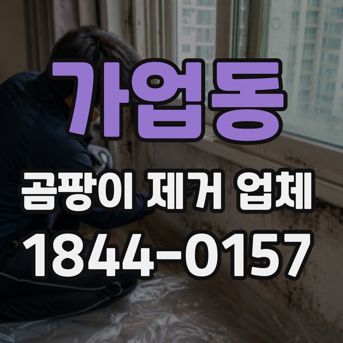 가업동 곰팡이 제거 업체 선택 시 신뢰도 확인 방법