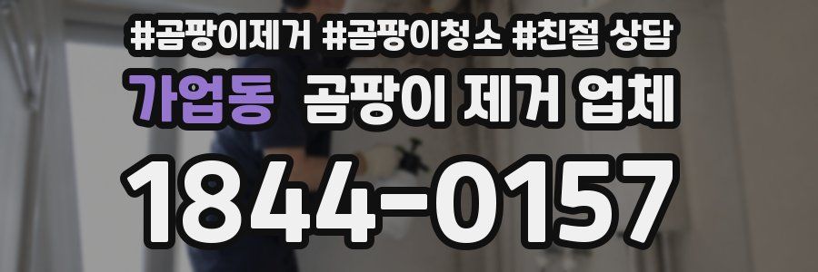 가업동 곰팡이 제거 업체