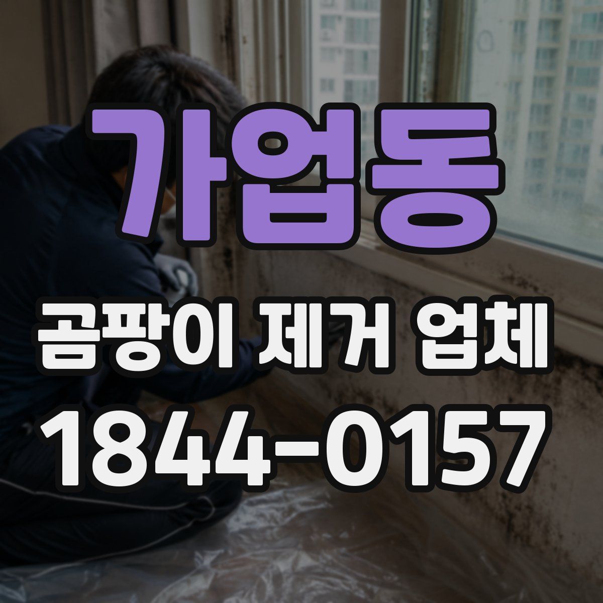 가업동 곰팡이 제거 업체