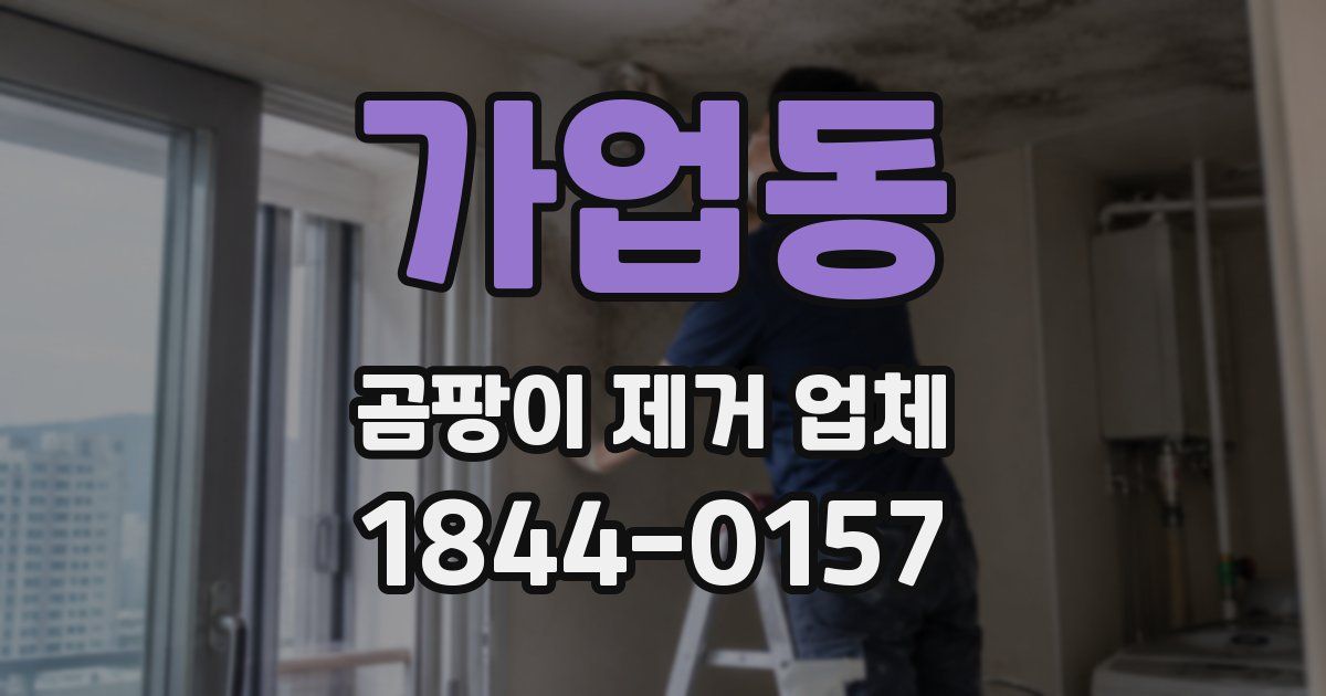 가업동 곰팡이 제거 업체