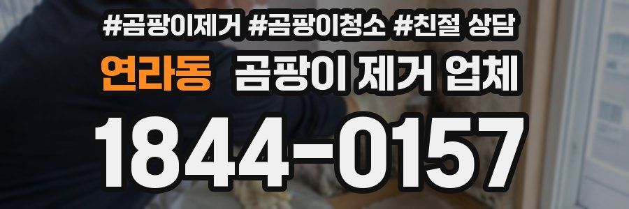 연라동 곰팡이 제거 업체