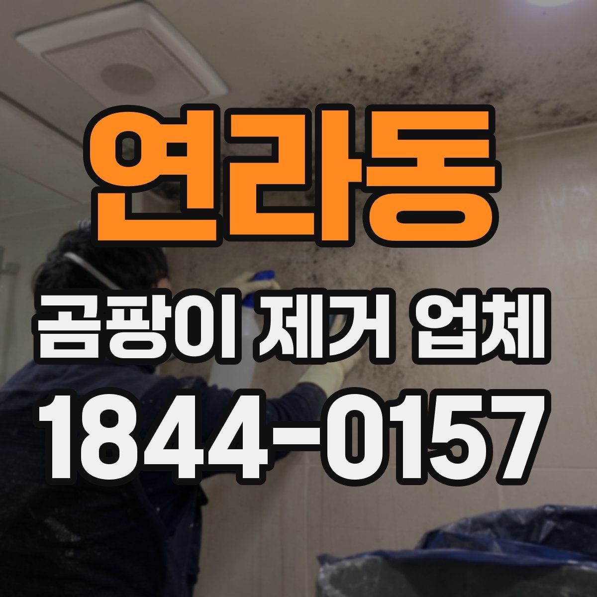 연라동 곰팡이 제거 업체