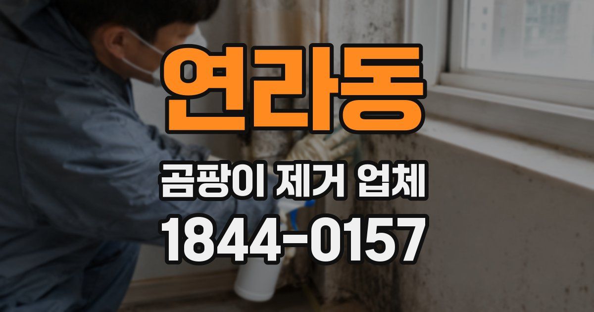연라동 곰팡이 제거 업체