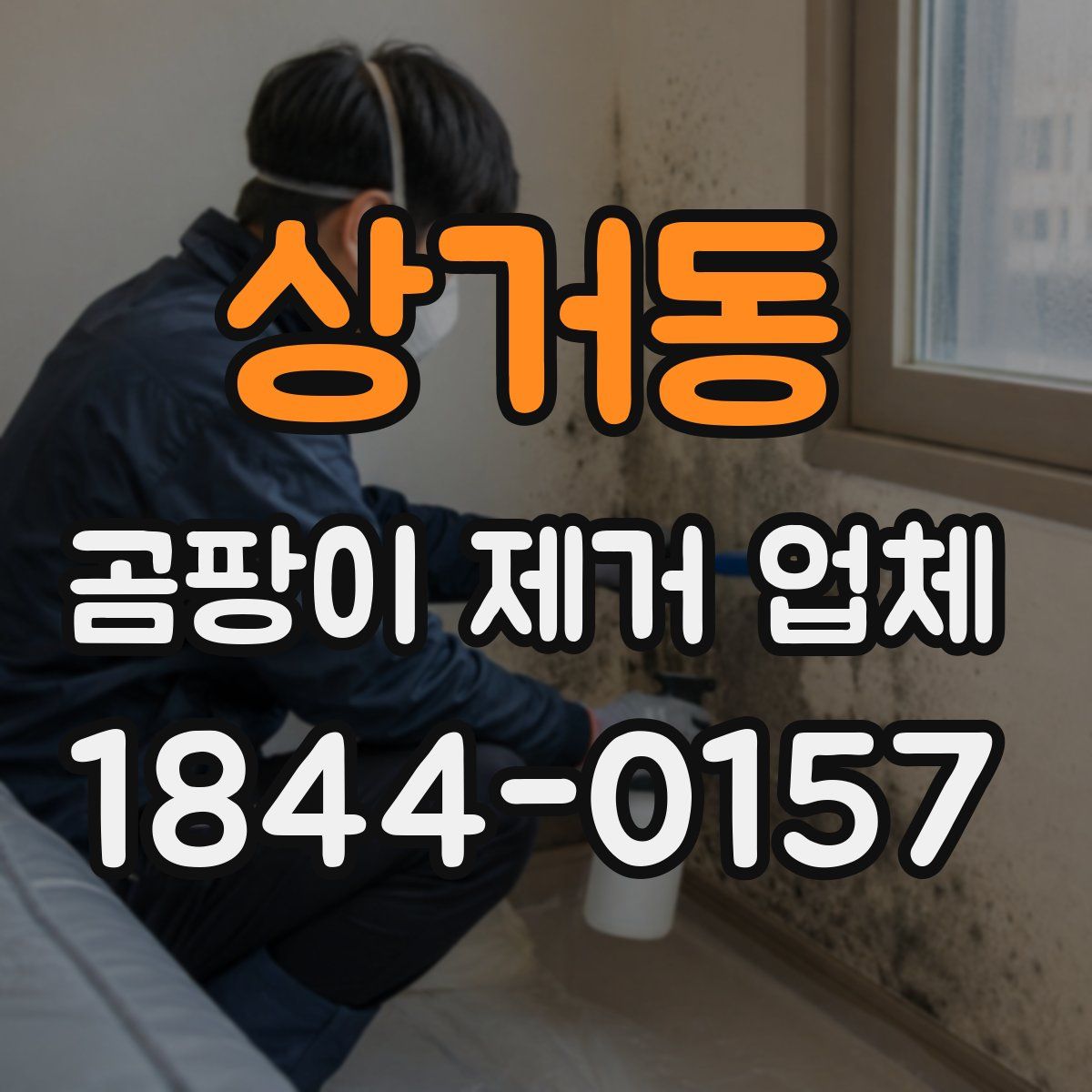 상거동 곰팡이 제거 업체