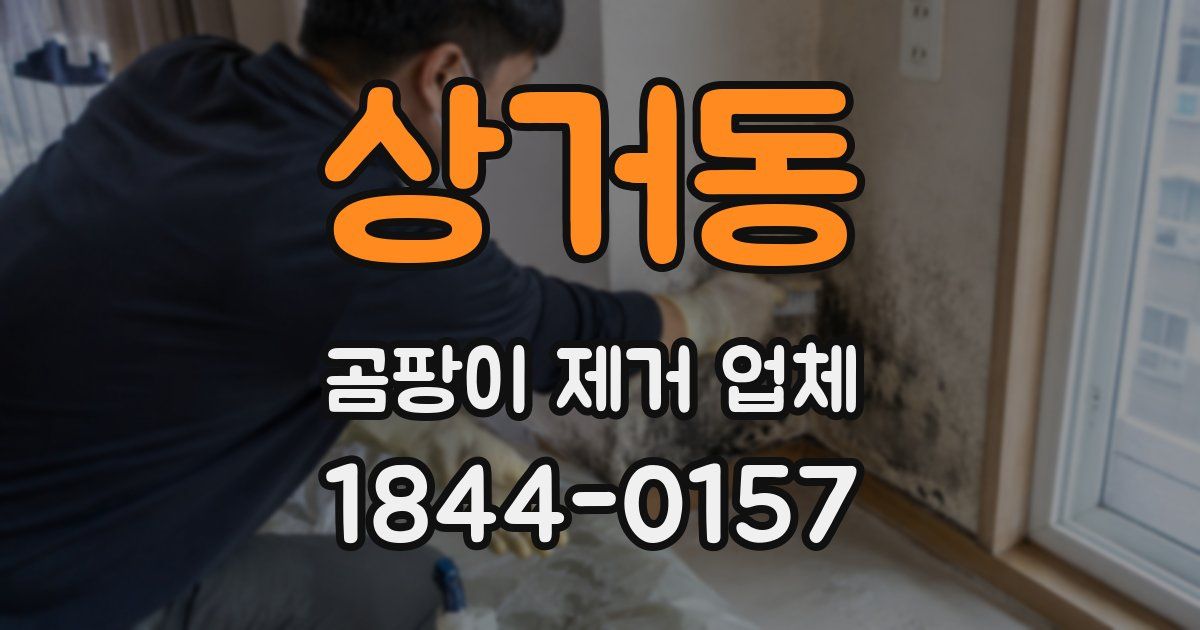 상거동 곰팡이 제거 업체