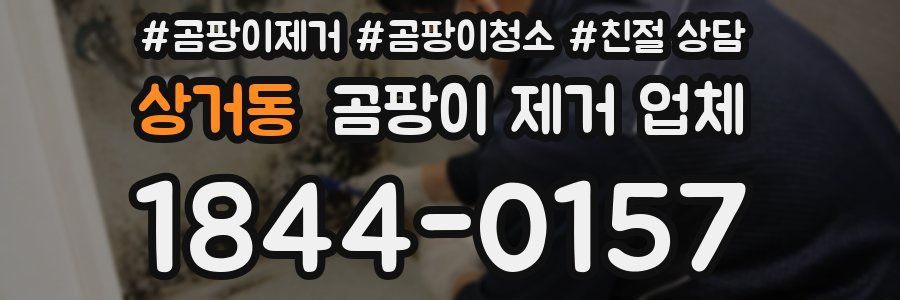 상거동 곰팡이 제거 업체