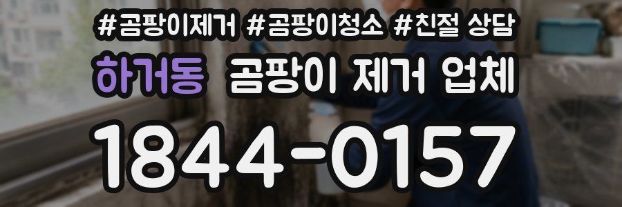 하거동 곰팡이 제거 업체