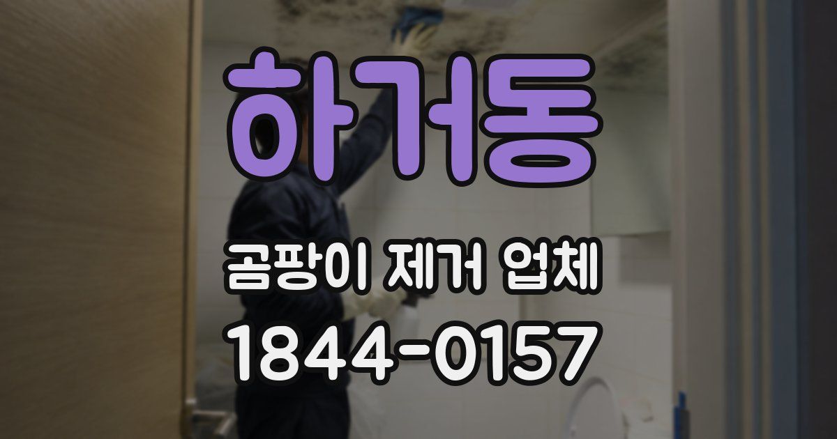 하거동 곰팡이 제거 업체