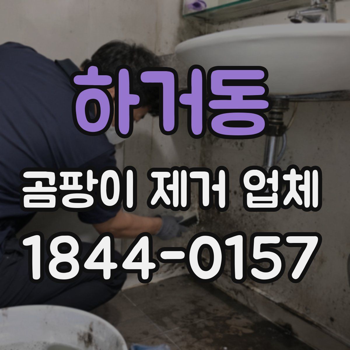 하거동 곰팡이 제거 업체