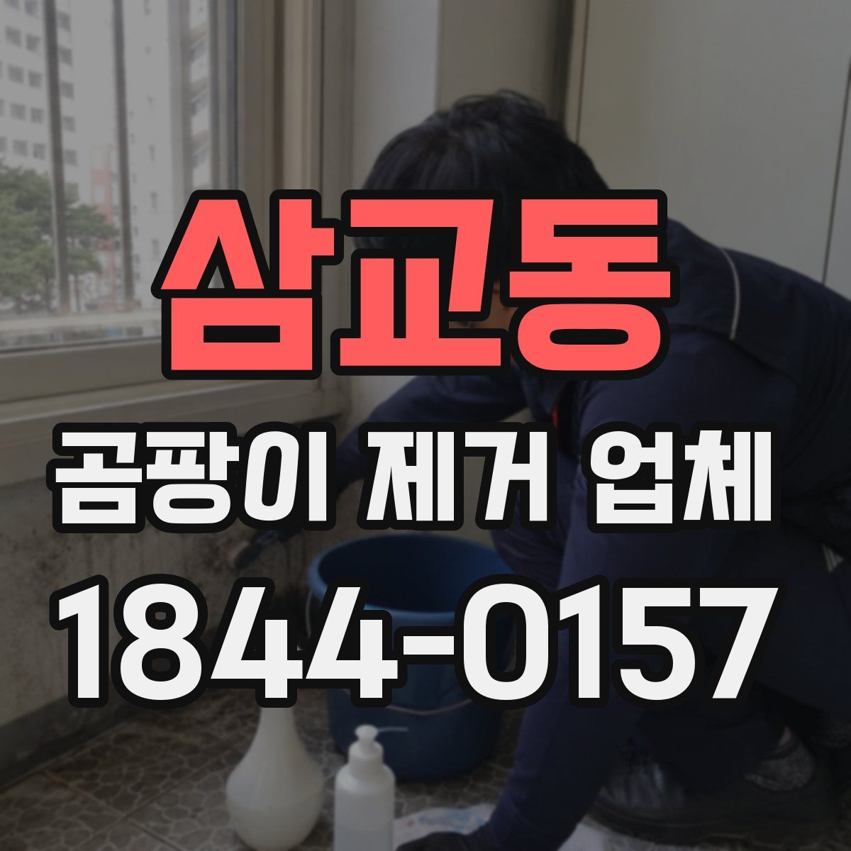 삼교동 곰팡이 제거 업체