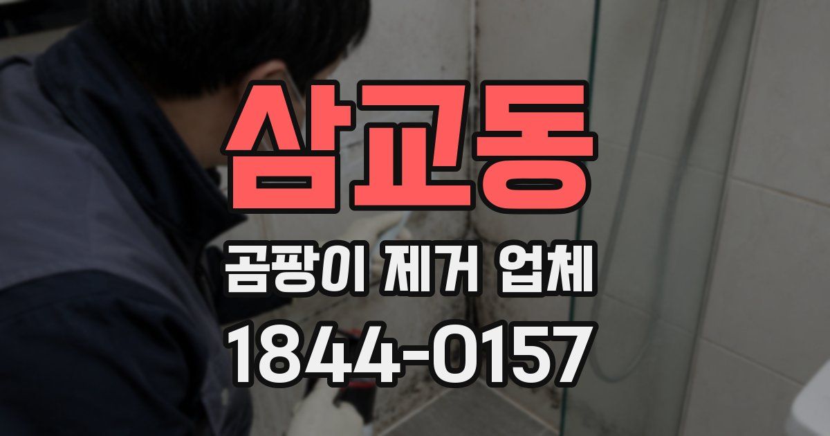 삼교동 곰팡이 제거 업체
