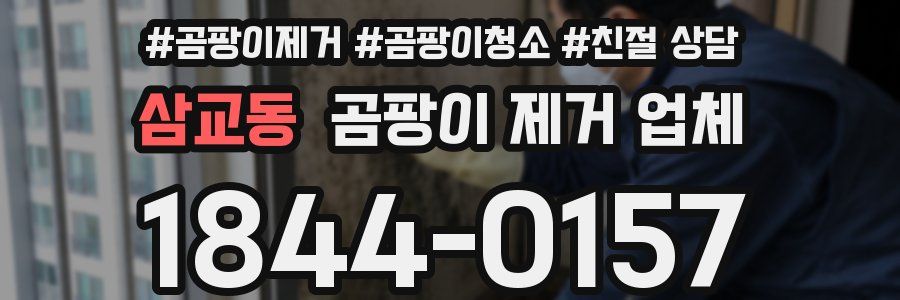 삼교동 곰팡이 제거 업체