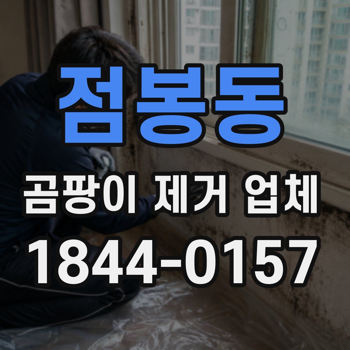 점봉동 곰팡이 제거 업체