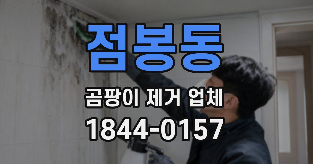 점봉동 곰팡이 제거 업체
