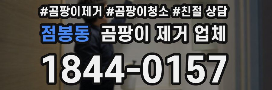 점봉동 곰팡이 제거 업체