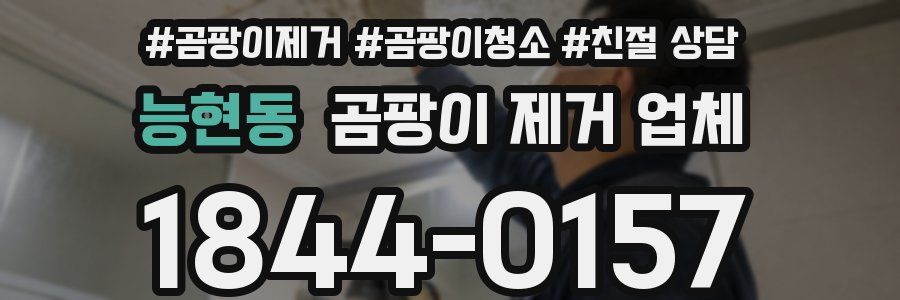능현동 곰팡이 제거 업체