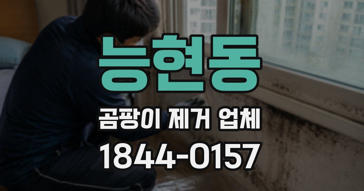 능현동 곰팡이 제거 업체