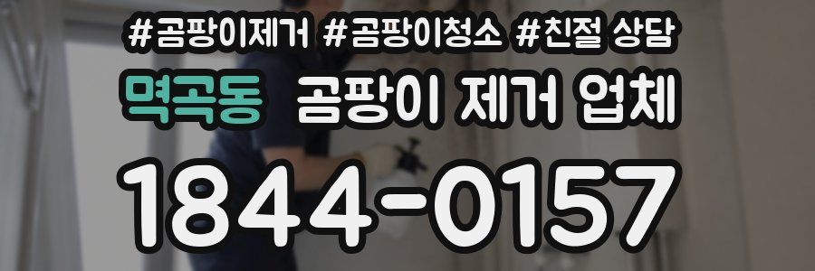 멱곡동 곰팡이 제거 업체
